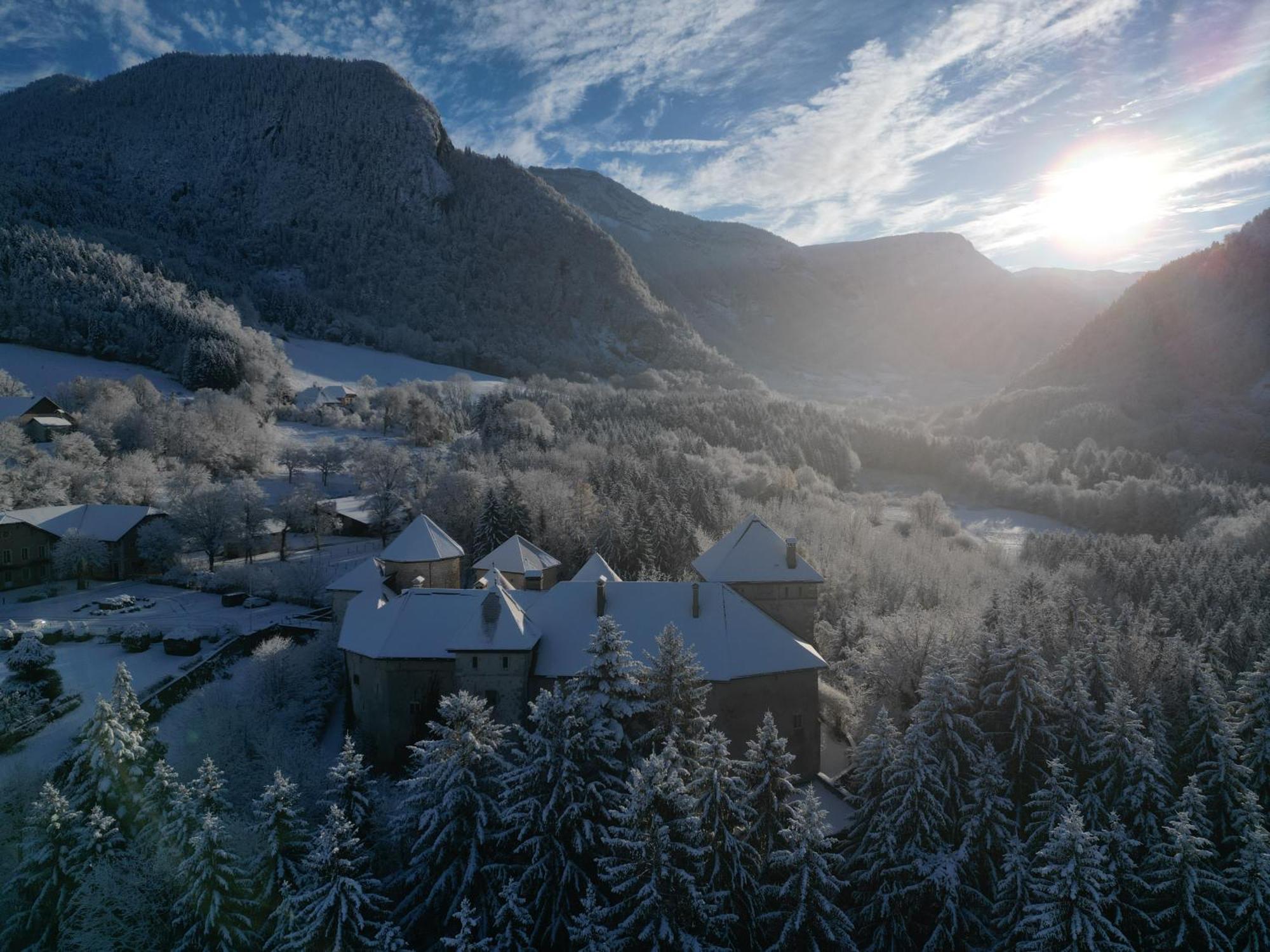 Chateau De Thorens 외부 사진